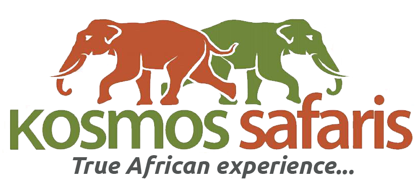 Kosmos Safaris